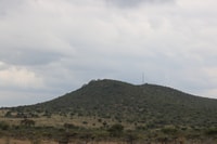 Scenic Day Tour, Erkundung des Sees Naivasha & Mount Longonot - Hizvo