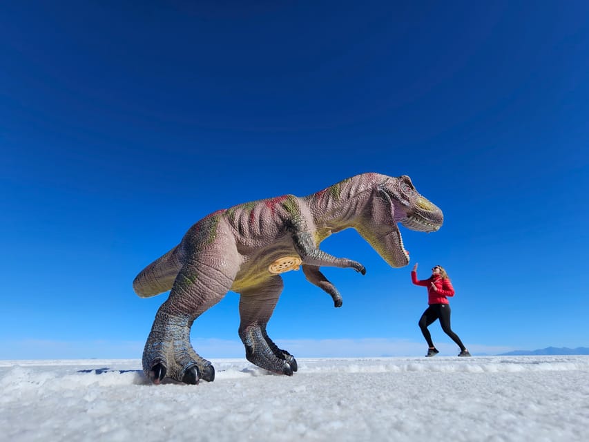 Uyuni Excursión de un día en Jeep por la Isla Incahuasi y el Salar de