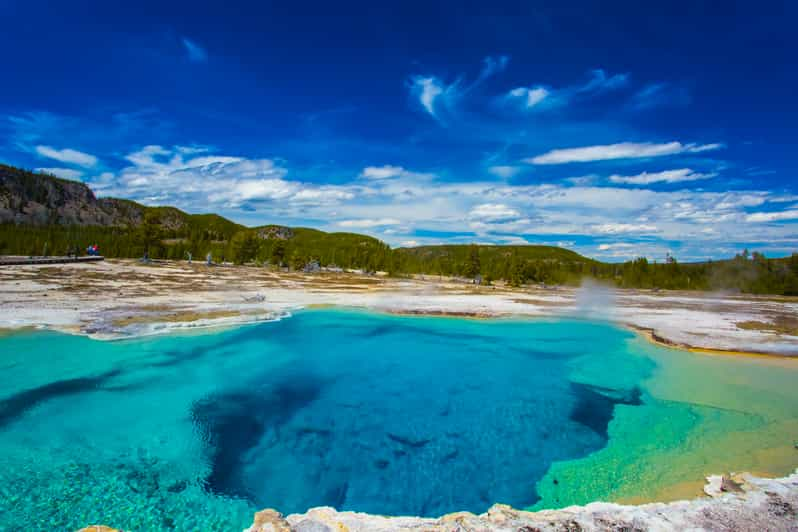 Yellowstone: Private Tour | GetYourGuide