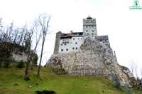 Visitez Bear Sanctuary et Bran Castle de Brasov - Housity