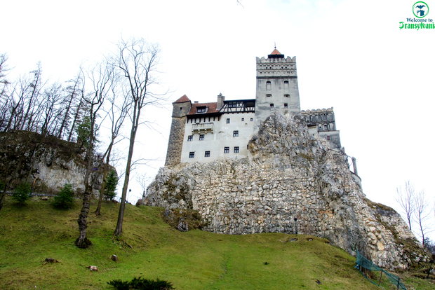 Visita il Santuario degli Orsi e il Castello di Bran da Brasov