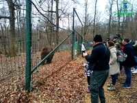 Visit Bear Sanctuary and Bran Castle from Brasov - Housity