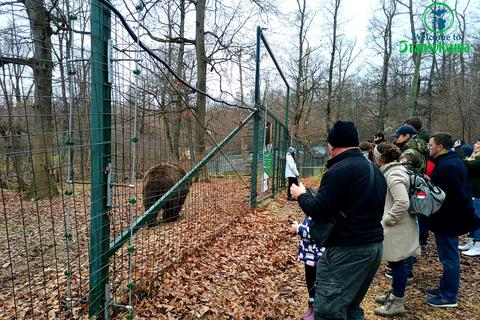 Visite du sanctuaire des ours et du château de Bran depuis Brasov