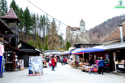 Visite du sanctuaire des ours et du château de Bran depuis Brasov