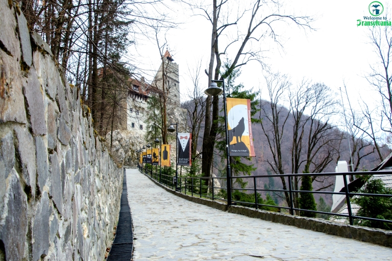 Visita el Santuario de los Osos y el Castillo de Bran desde Brasov