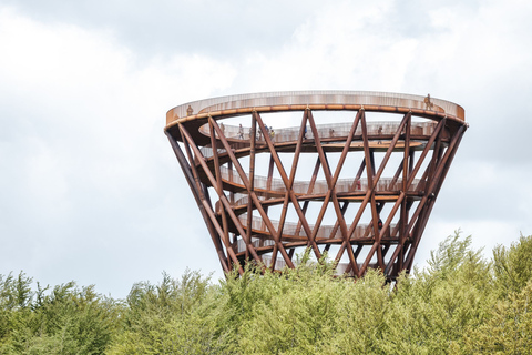 Forest Tower and Forgotten Giants - A Day Tour from Copenhag