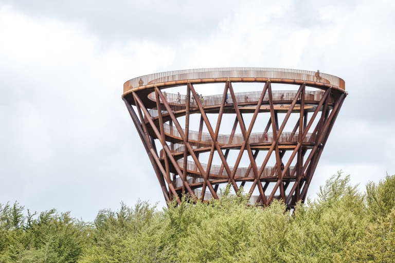 Torre del Bosque y Gigantes Olvidados - Excursión de un día desde Copenhague