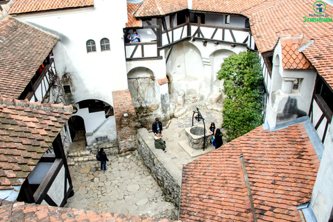 Sanctuaire des ours & Château de Bran & aéroport OTP de BrasovSanctuaire de l'ours, château de BRAN et aéroport d'OTOPENI depuis Brasov