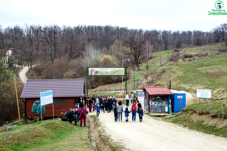 Bear Sanctuar& Bran Castle & airport OTP from Brasov BEAR Sanctuar& BRAN Castle & airport OTOPENI from Brasov