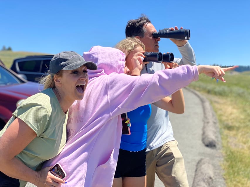 Yellowstone Lower Loop Tour from West Yellowstone with Lunch GetYourGuide
