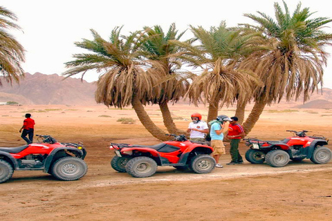 Luxor: Ballon, Quad Bike, Reiten, Feluke mit Mahlzeiten