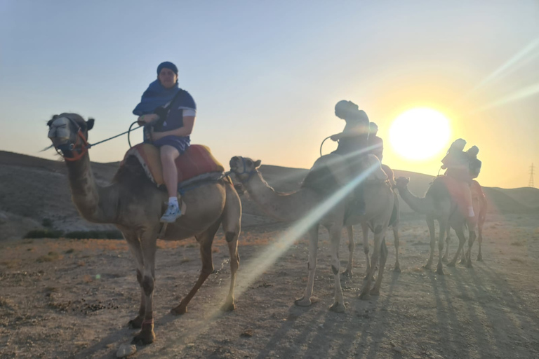 Giro in cammello al tramonto nel deserto di Agafay