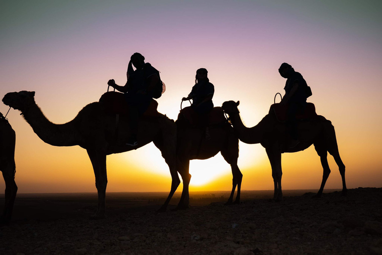 Giro in cammello al tramonto nel deserto di Agafay