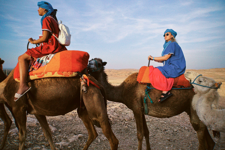 Giro in cammello al tramonto nel deserto di Agafay