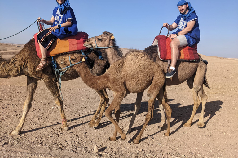 Giro in cammello al tramonto nel deserto di Agafay