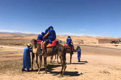 Giro in cammello al tramonto nel deserto di Agafay