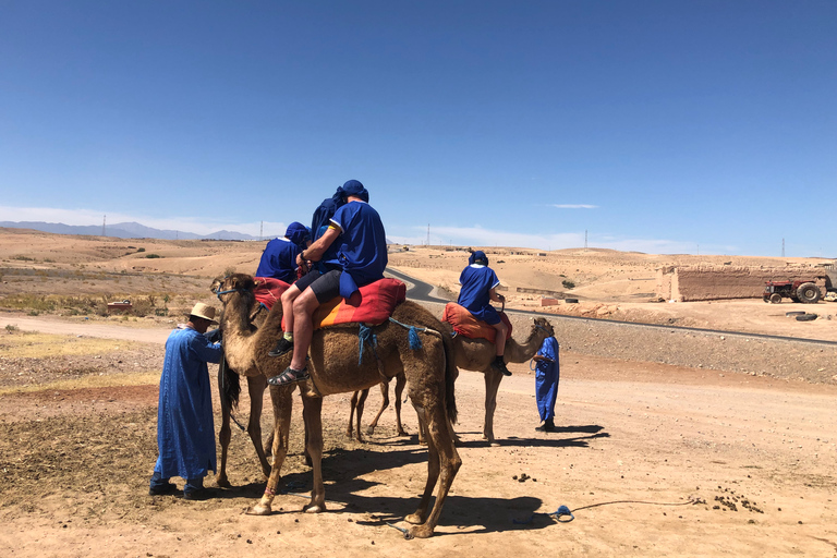 Giro in cammello al tramonto nel deserto di Agafay