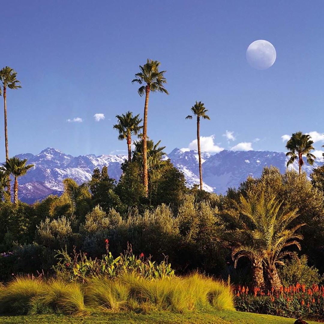 Visite de Marrakech Jardins Majorelle, Menara et Anima - excursion