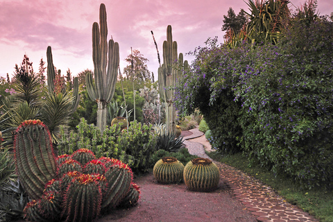 Marrakech Tour Gärten Majorelle, Menara & Anima Gärten