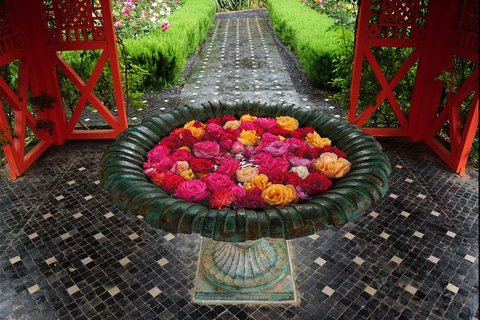 Visite de Marrakech Jardins Majorelle, Menara et Anima