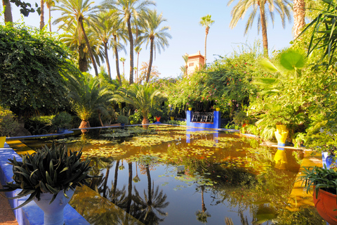 Marrakech Tour Gärten Majorelle, Menara & Anima Gärten