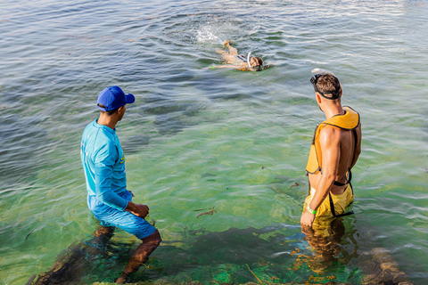 Cancun 3 em 1: mergulho com snorkel, parapente e ruínas de Meco grátisAtividades Total Pass em Cancun