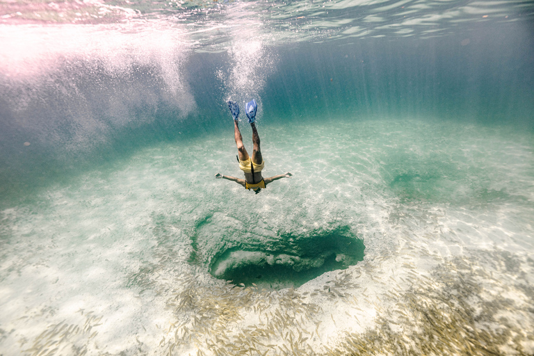 Cancun 3 em 1: mergulho com snorkel, parapente e ruínas de Meco grátisAtividades Total Pass em Cancun