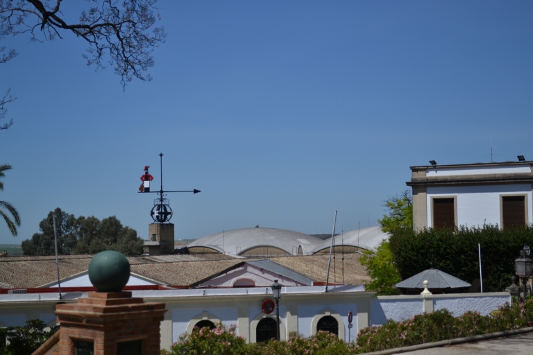 Visitez Jerez de la Frontera, la visite incontournable !