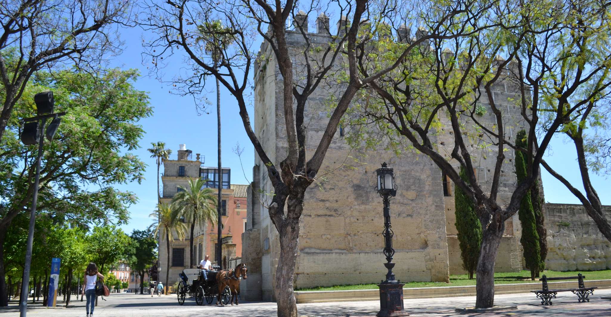 Visit Jerez de la Frontera, the essential tour! - Housity