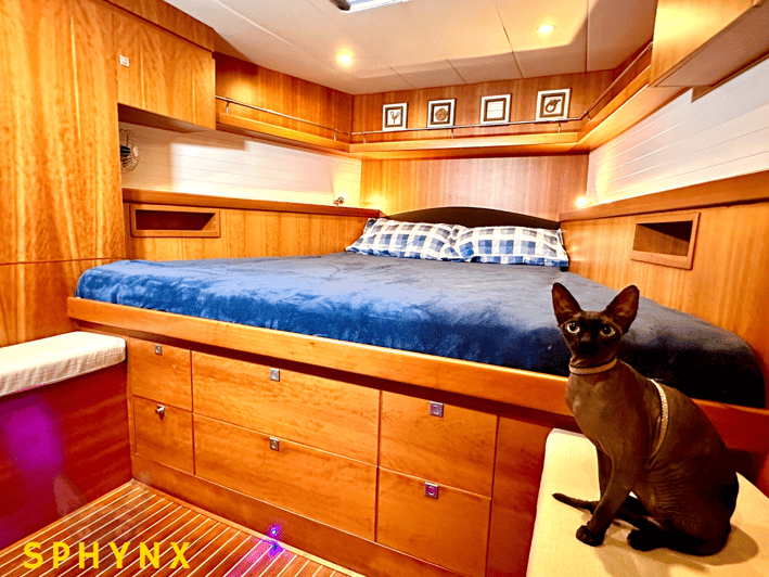 Private Luxury Sailing Tour GetYourGuide