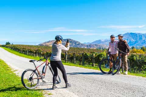 Queenstown: Self-Guided Gibbston Valley Wineries Bike Tour - Image 3