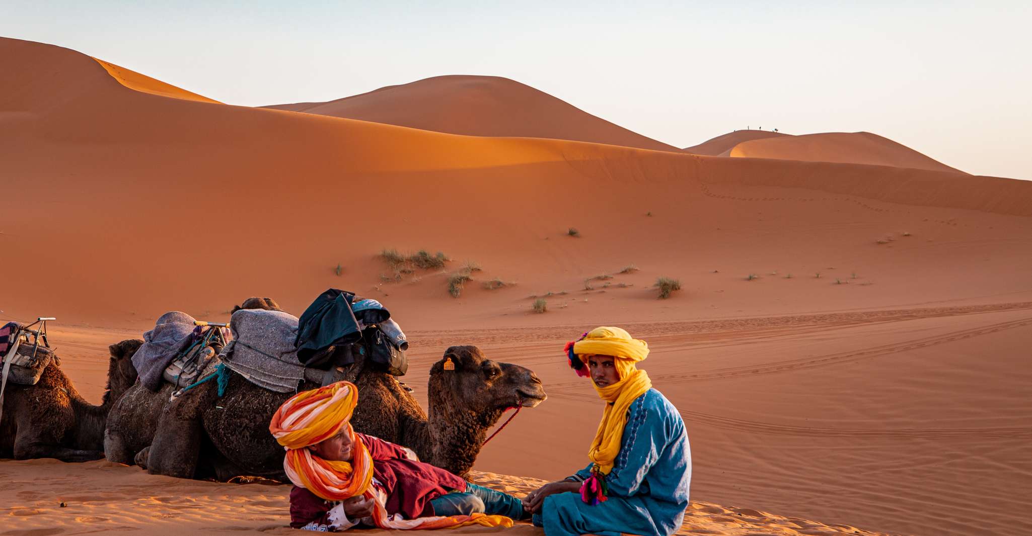 FESから、2日間のメルツガ砂漠旅行、豪華なテント＆ディナー - Housity