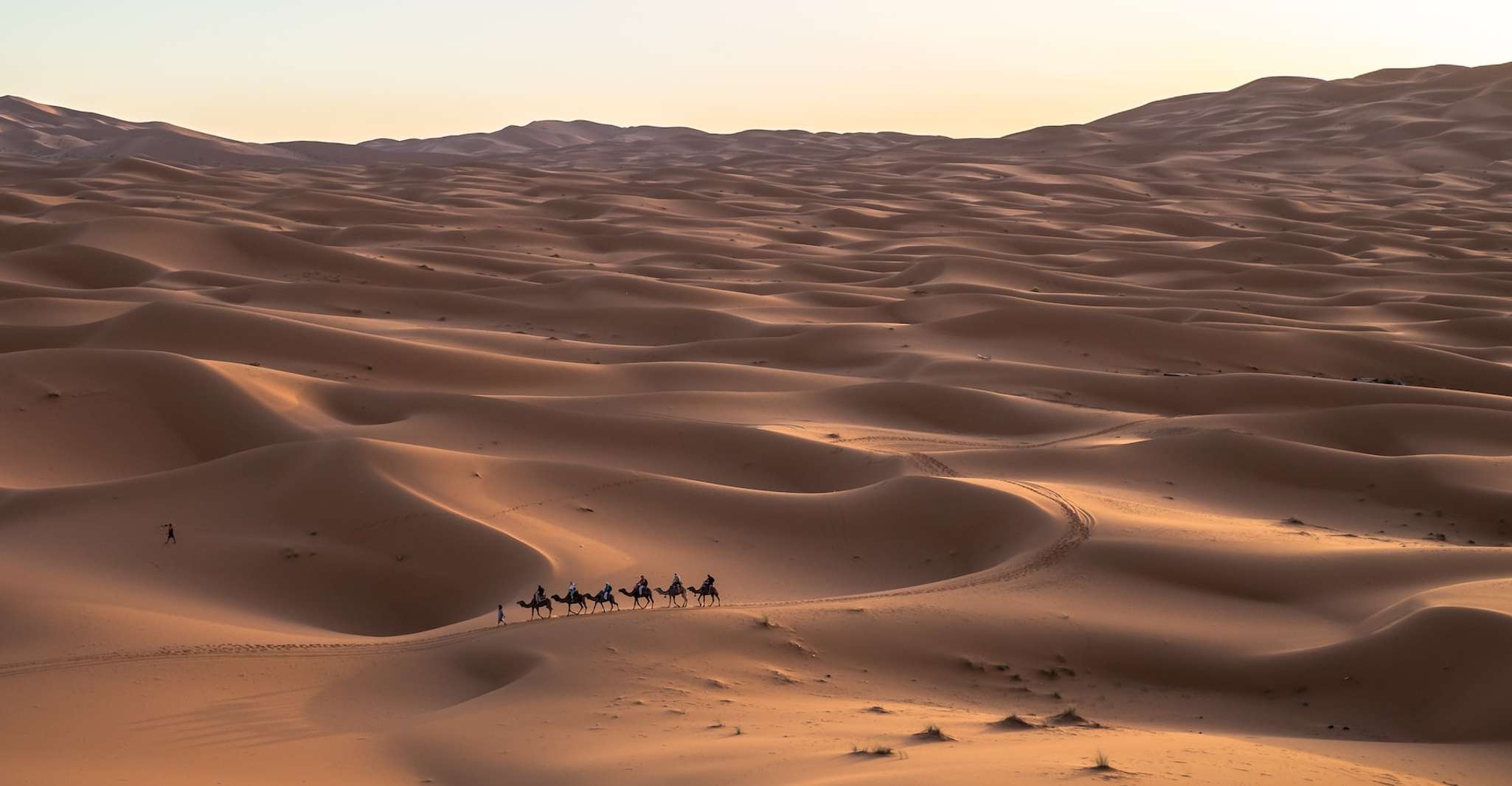 De FES, viaje al desierto de Merzouga de 2 días con carpa y cena de lujo - Housity