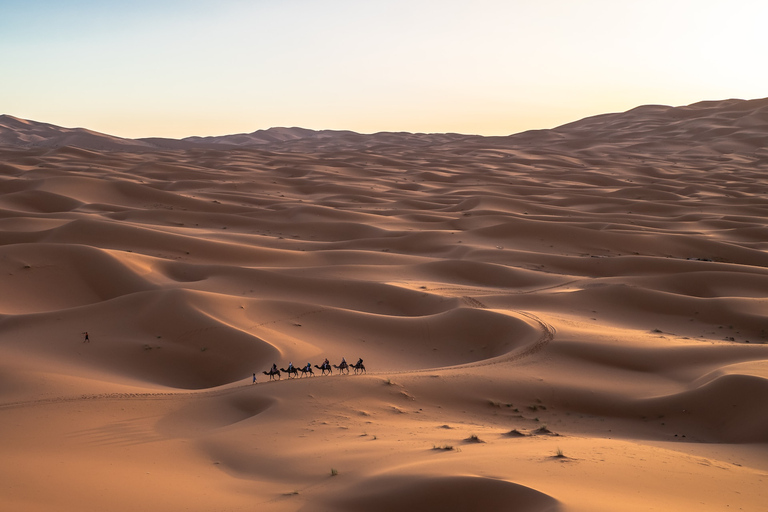 Ab Fes: 2-tägige Merzouga-Wüstentour mit Luxuszelt und Abendessen