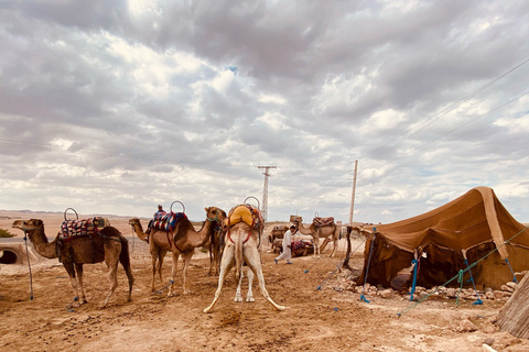 Marrakech: Fyrhjuling &amp; kamel med middagsshow &amp; solnedgång