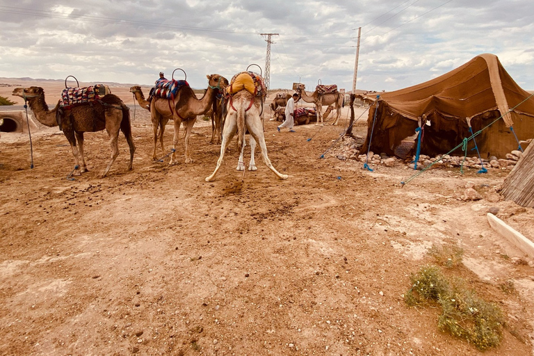 Marrakech: ATV & Camel with sunset & dinner show Quad bike & camel ride and dinner show