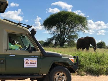 Vanuit Zanzibar: Mikumi Nationaal Park begeleide safari
