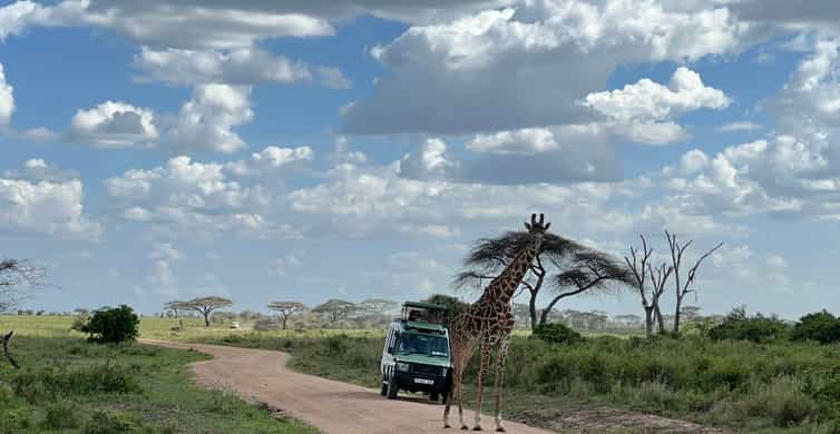 van zanzibar naar tanzania safari