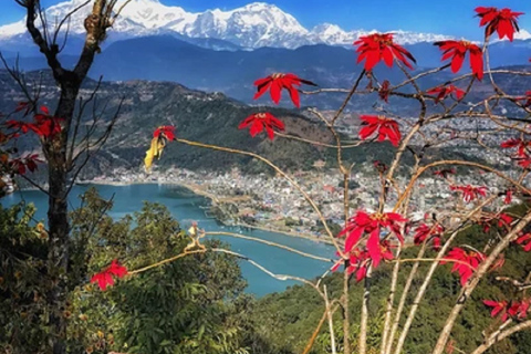 Mit dem Bus zu den sieben besten Touristenzielen in PokharaDie drei besten Reiseziele in Pokhara aufdecken