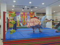 Mostrar lucha de Cholitas - Hizvo