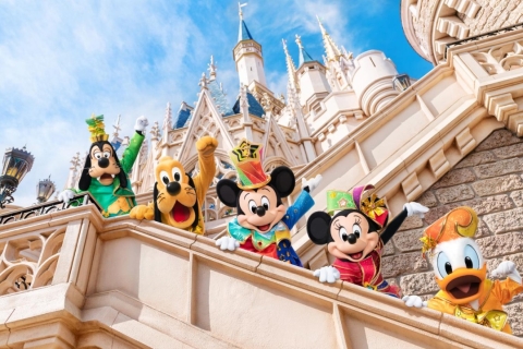 Tokyo Disneyland/DisneySea: dagkaart en privétransferDisneyland & Round-transfer van Tokio naar Disneyland