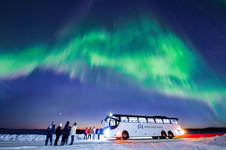 Rovaniemi: bustour op jacht naar noorderlicht