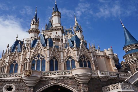 Tokyo Disneyland: 1-Day Entry Ticket and Private Transfer
