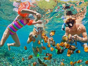 Z przystani Asia Marina Pier: Całodniowa wycieczka na Phi Phi i wyspę Khai