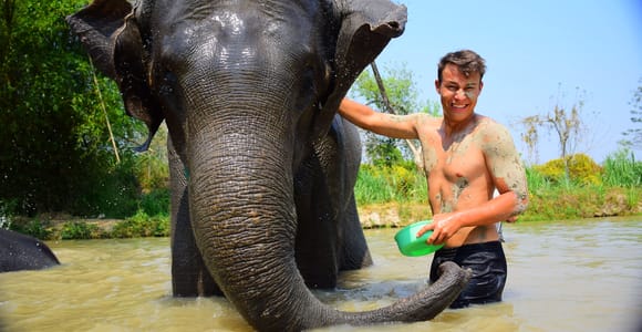 Phuket: Elefanten Rettungs- und Pflegeprogramm Tour