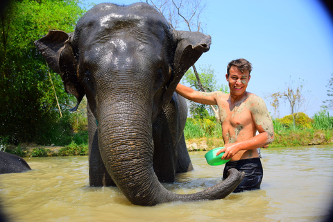 Phuket: Elephant Save & Care Program dla małych grup