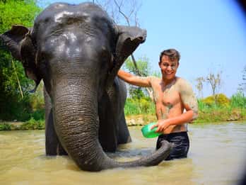 Phuket: Elephant Save & Care Program Tour