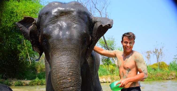 Phuket: Elefánt mentési és gondozási program túra