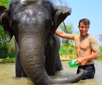 Phuket: Besøk på et etisk elefantreservat