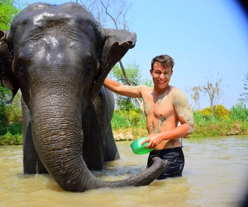 Phuket: Elephant Save & Care Program Tour